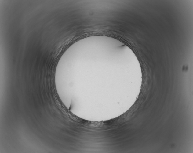 X0000115500720200912041038