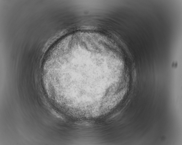 X0000115500721200912041037