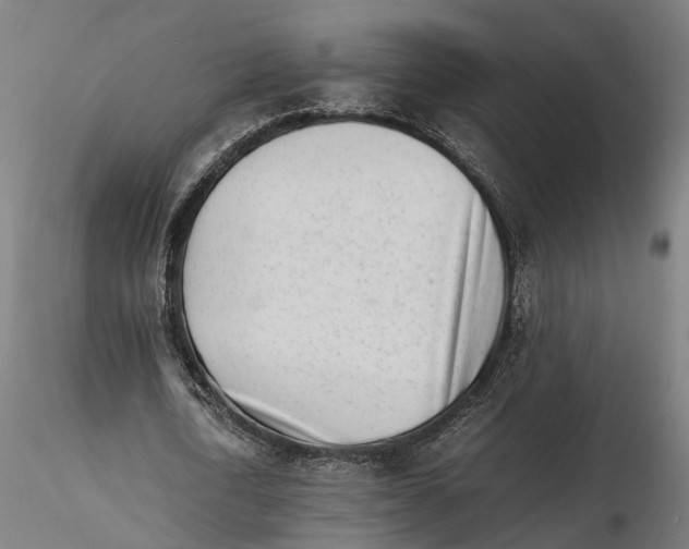 X0000115500722200912041037