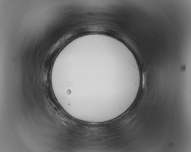 X0000115500723200912041037