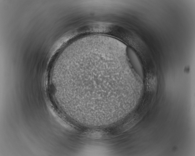X0000115500726200912041037