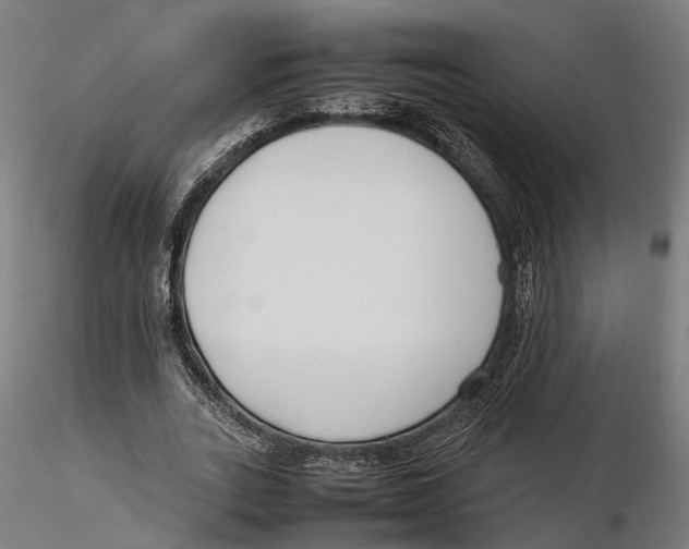 X0000115500727200912041037