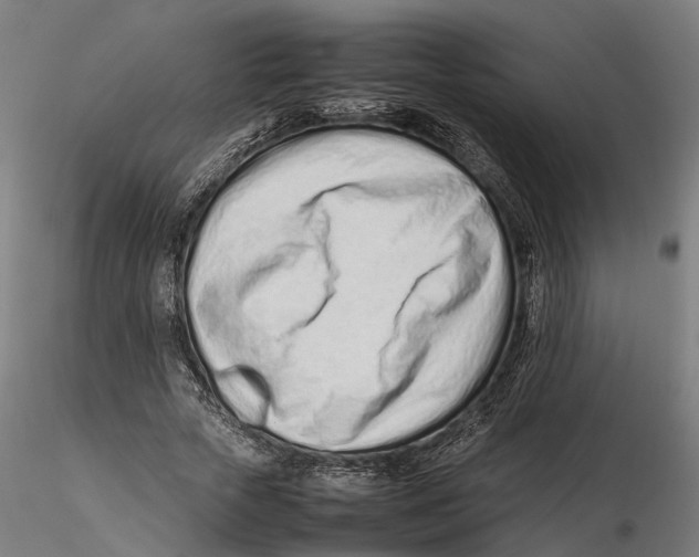 X0000115500729200912041037