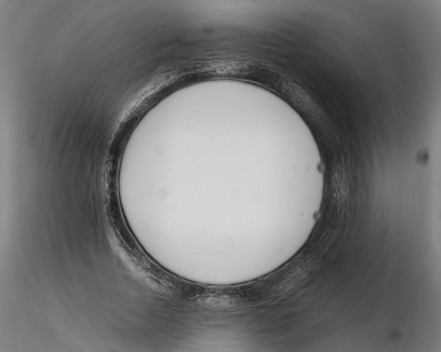 X0000115500730200912041037