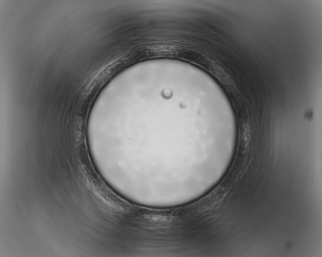 X0000115500733200912041037