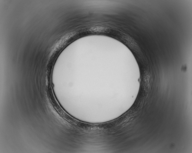 X0000115500734200912041037