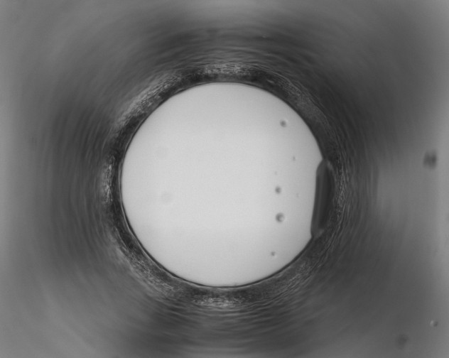 X0000115500735200912041037