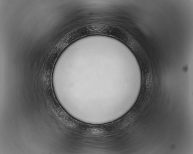 X0000115500737200912041037