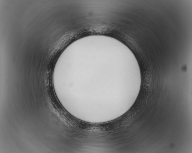 X0000115500738200912041037