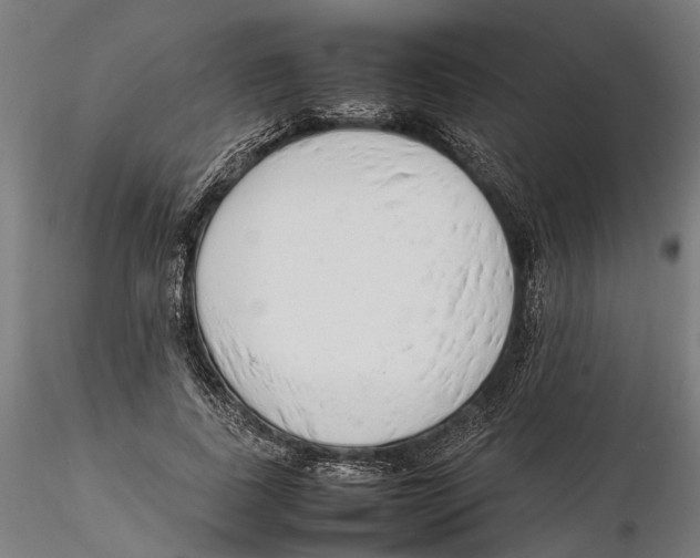 X0000115500739200912041037