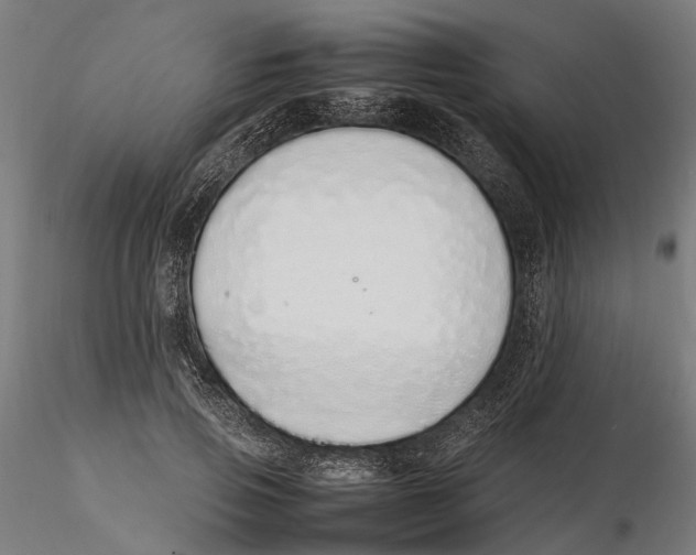X0000115500741200912041037