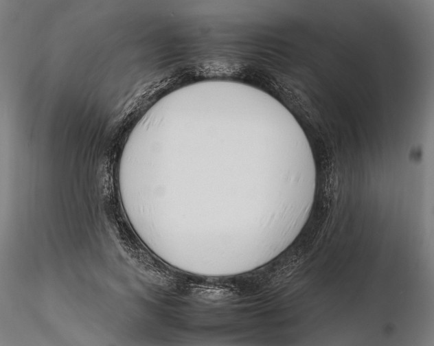 X0000115500743200912041037