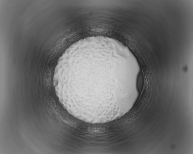 X0000115500745200912041037