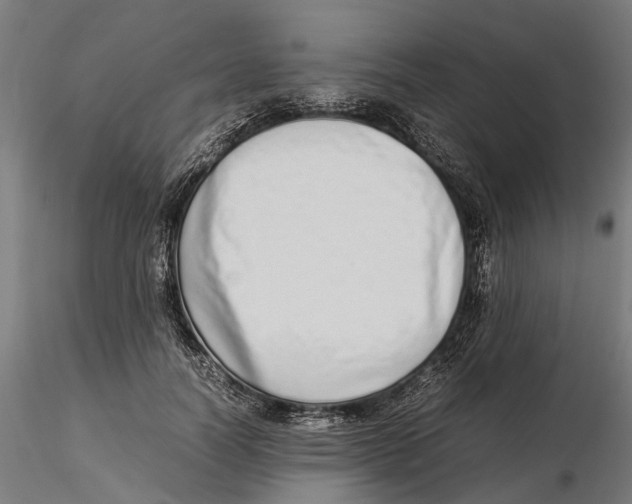 X0000115500746200912041037