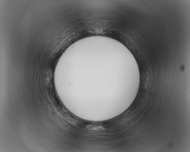 X0000115500747200912041038