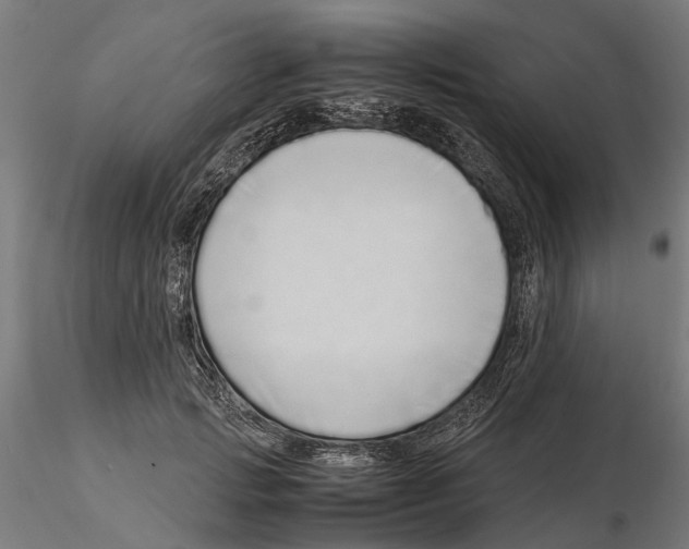 X0000115500749200912041038