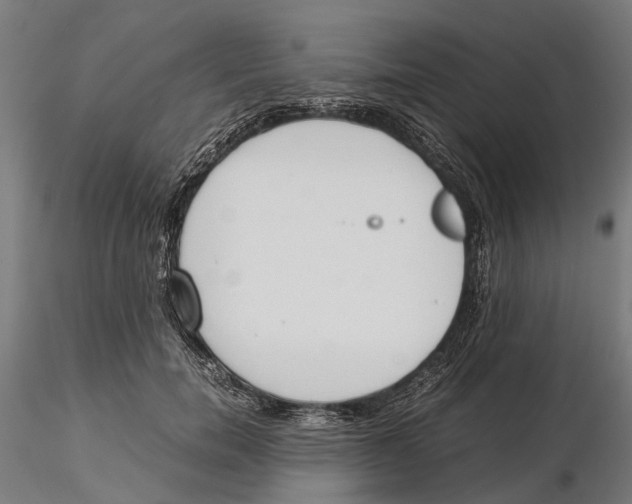 X0000115500750200912041038