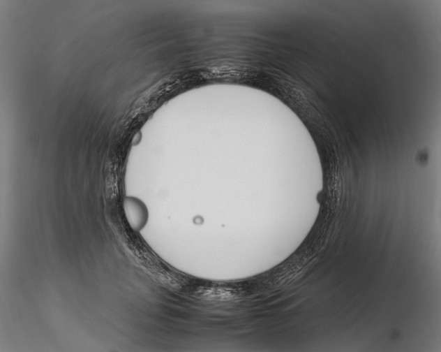 X0000115500751200912041038