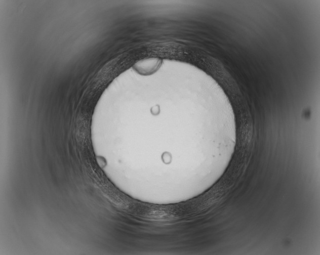 X0000115500753200912041038