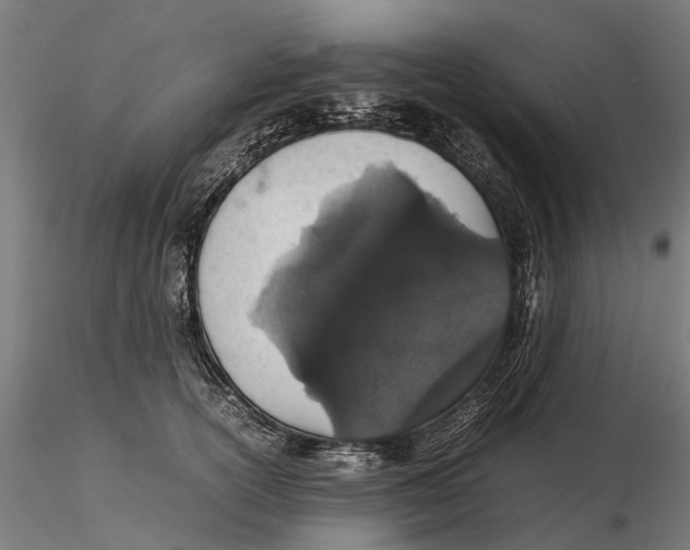 X0000115500754200912041038