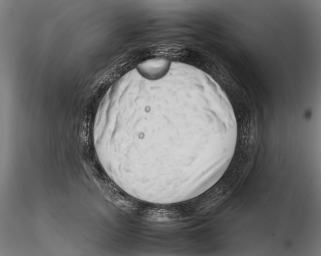 X0000115500755200912041038