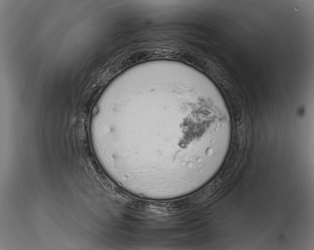 X0000115500757200912041038