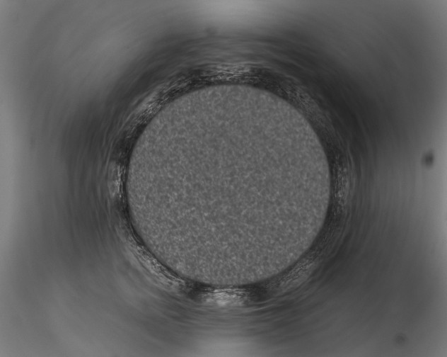 X0000115500758200912041038