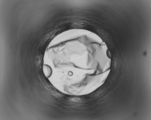 X0000115500759200912041038