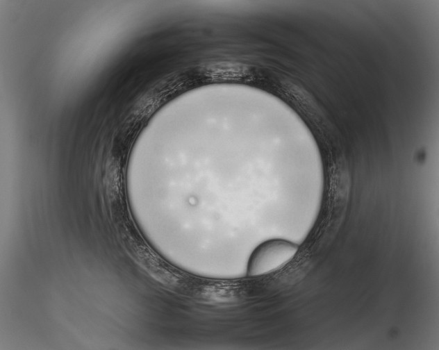 X0000115500761200912041038