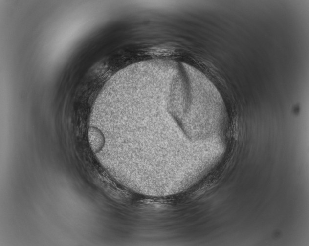 X0000115500763200912041038