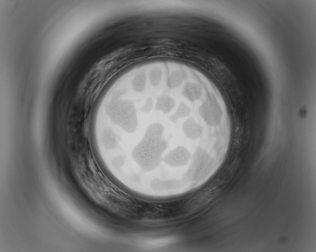 X0000115500765200912041038