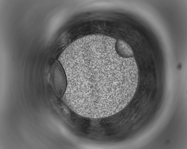 X0000115500766200912041038