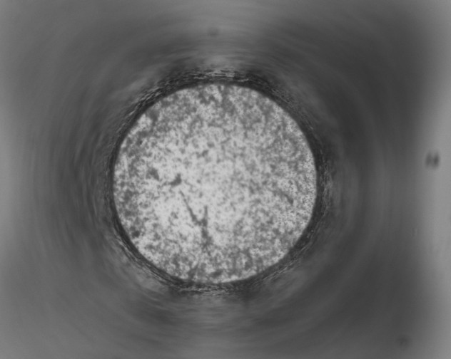 X0000115500769200912041037
