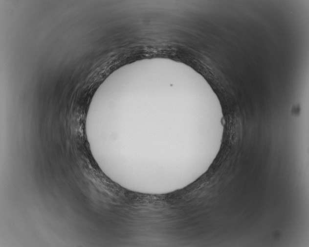 X0000115500770200912041037