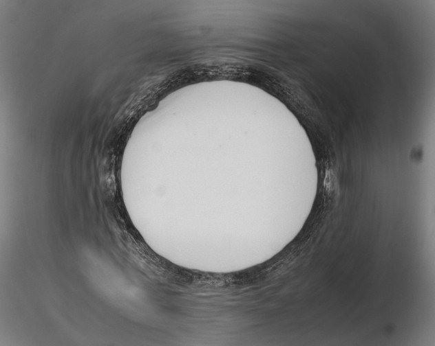 X0000115500771200912041037