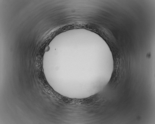 X0000115500773200912041037