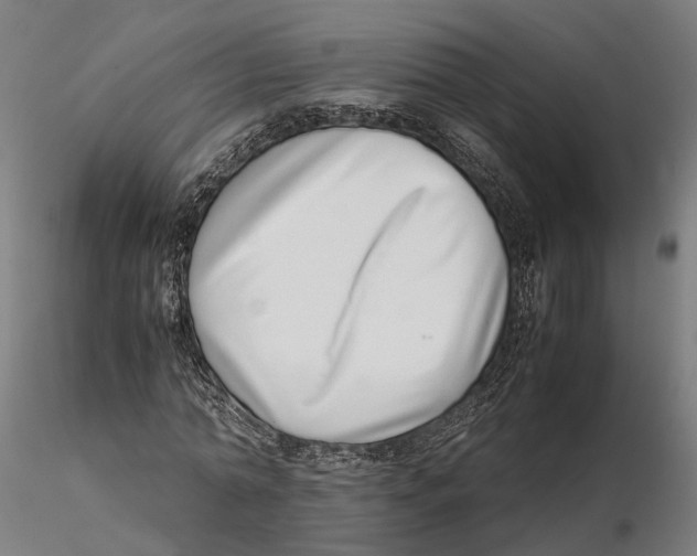 X0000115500774200912041037