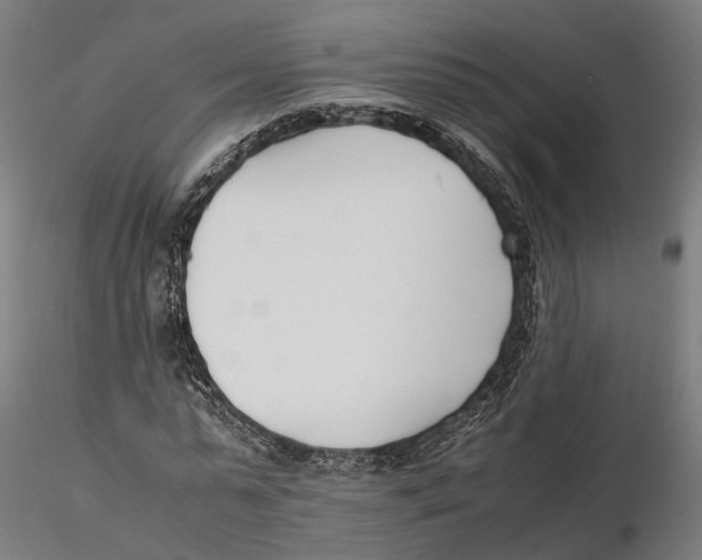 X0000115500775200912041037