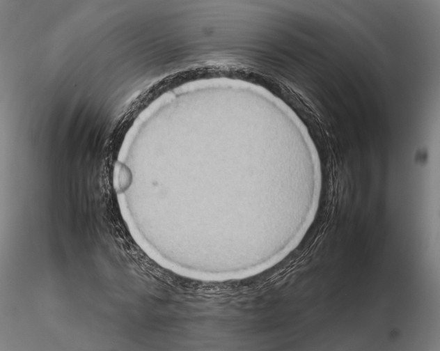 X0000115500776200912041037