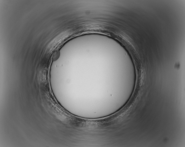 X0000115500777200912041037
