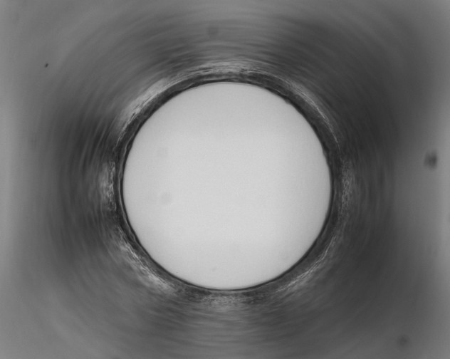 X0000115500778200912041037