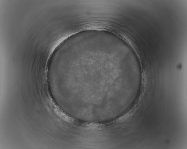 X0000115500779200912041037