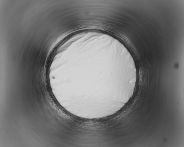 X0000115500780200912041037