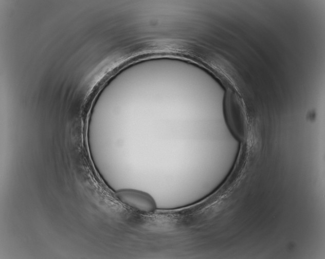 X0000115500781200912041037
