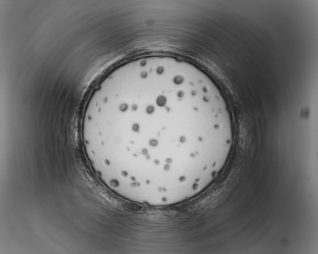 X0000115500782200912041037