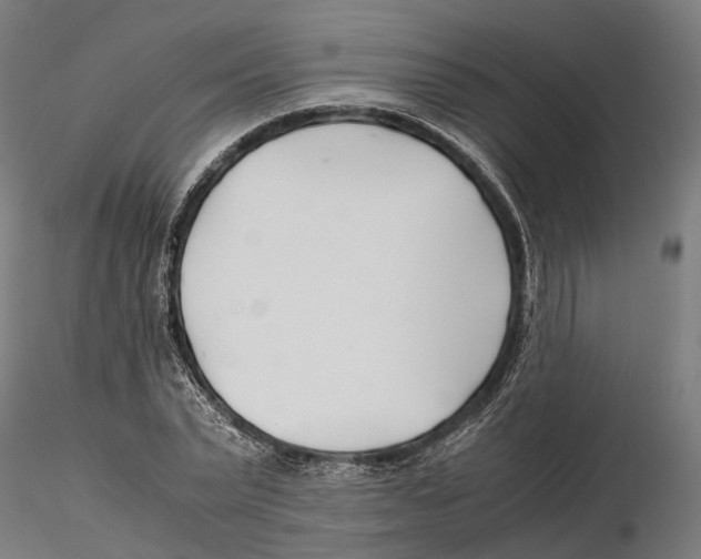 X0000115500783200912041037