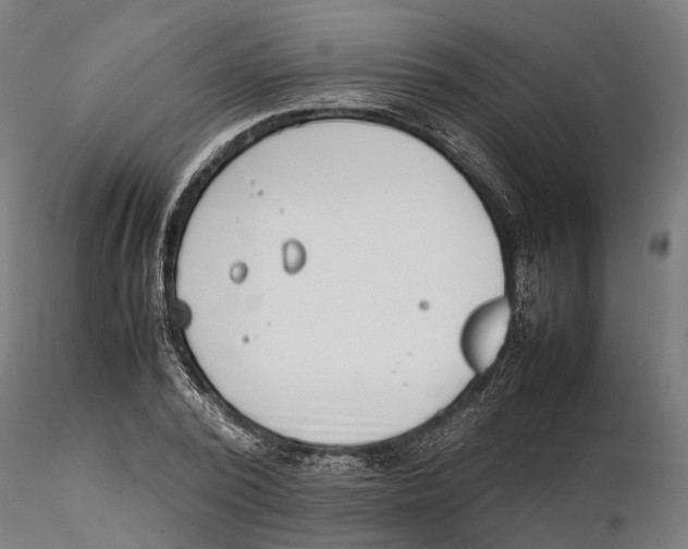 X0000115500784200912041037