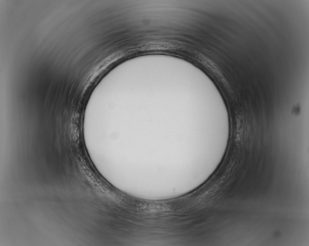 X0000115500786200912041037
