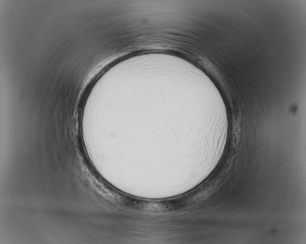 X0000115500787200912041037