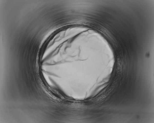 X0000115500788200912041037